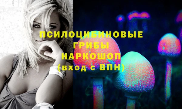 индика Абдулино