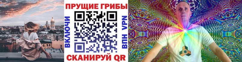 магазин продажи   Саранск  OMG ТОР  Псилоцибиновые грибы GOLDEN TEACHER 